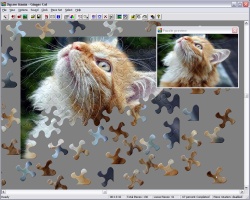 Feline Jigsaw Puzzle