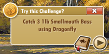challengesuggestion