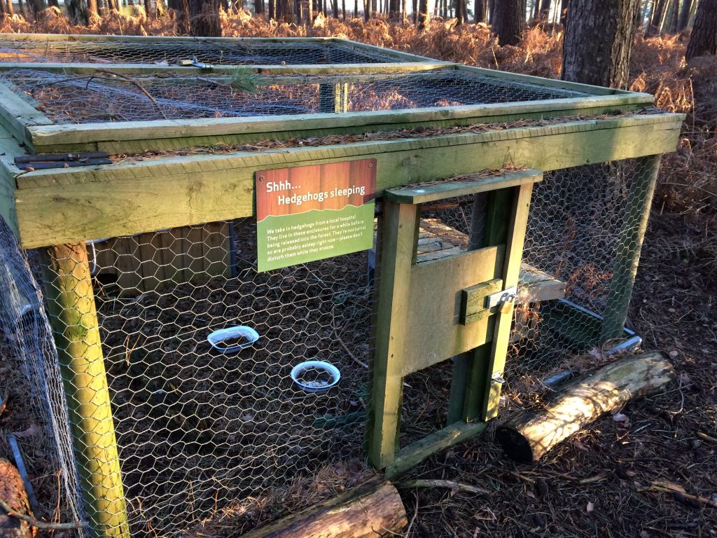 A chicken wire and wood frame with a little door, a sign says 'Shhh... Hedgehogs sleeping'