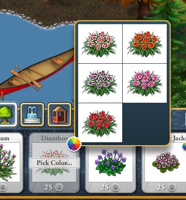 A dianthus with multiple color options.